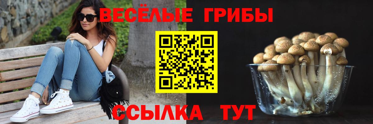 Галлюциногенные грибы Psilocybe Воскресенск